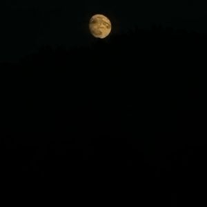 Meet your Posher, New